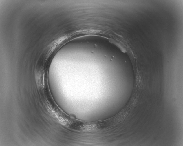 X0000086040110200703301050