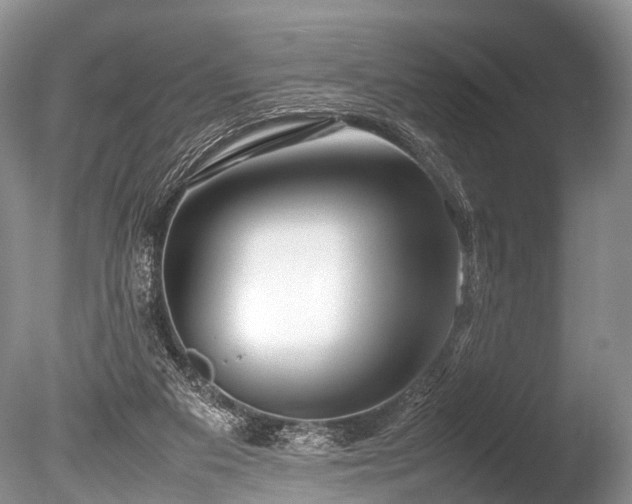 X0000086040113200703301050