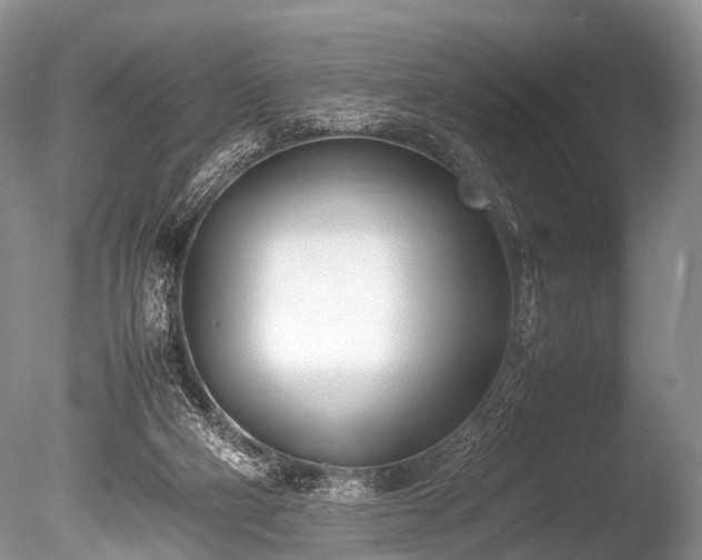 X0000086040114200703301050