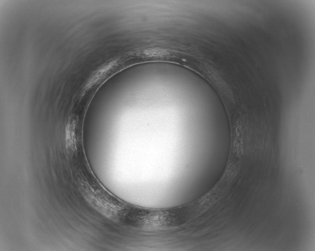 X0000086040116200703301050
