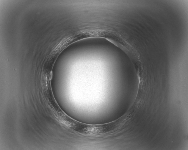 X0000086040117200703301050
