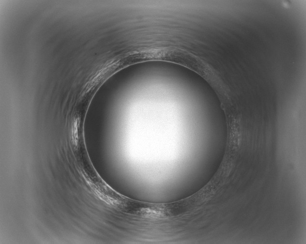 X0000086040118200703301050
