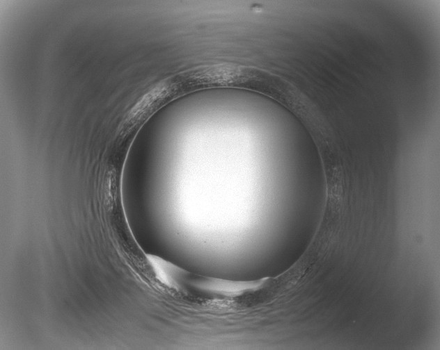 X0000086040119200703301050
