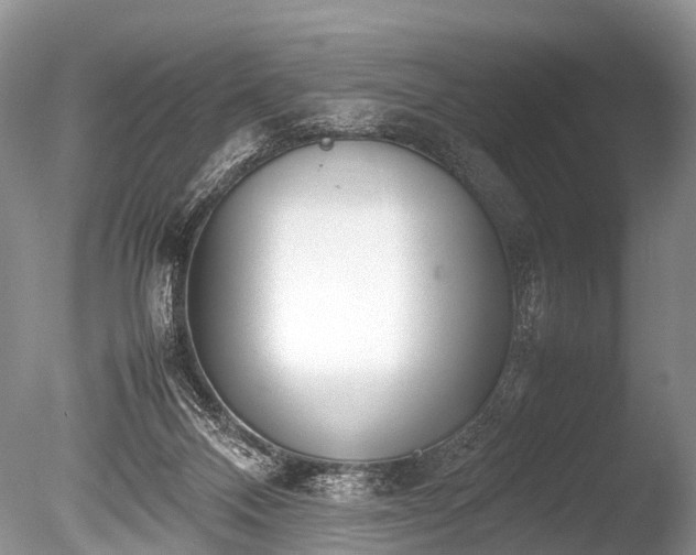 X0000086040120200703301050