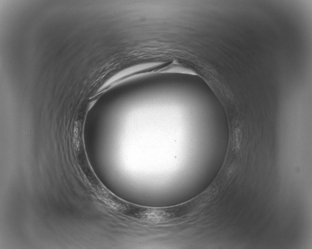 X0000086040121200703301050