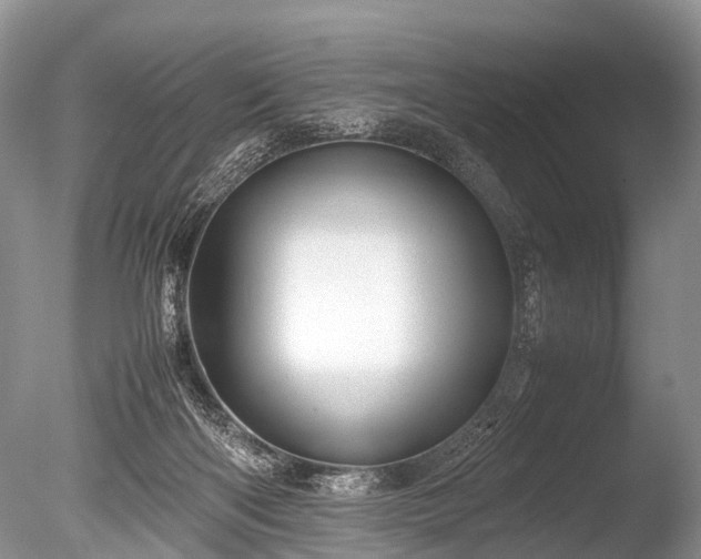 X0000086040122200703301049