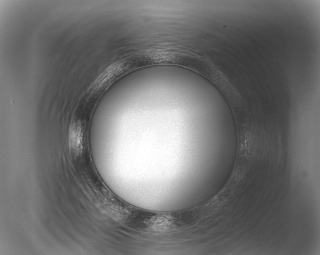 X0000086040124200703301049