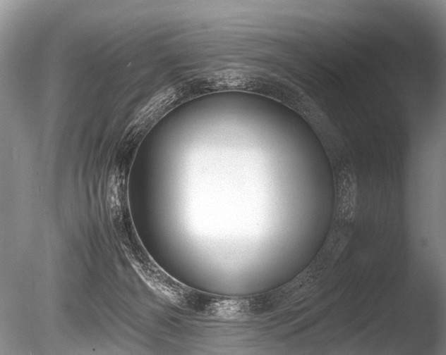 X0000086040126200703301049