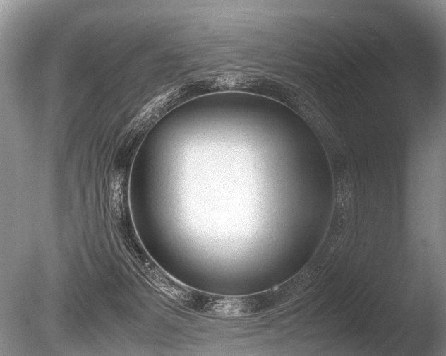X0000086040127200703301049