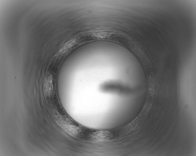 X0000086040128200703301049