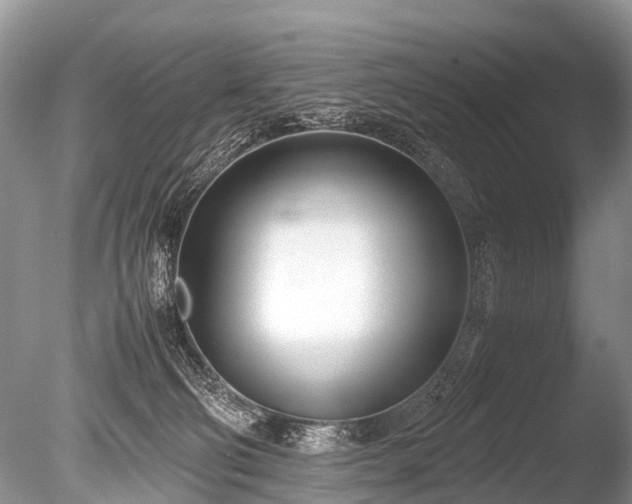 X0000086040130200703301049