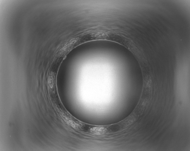 X0000086040133200703301049