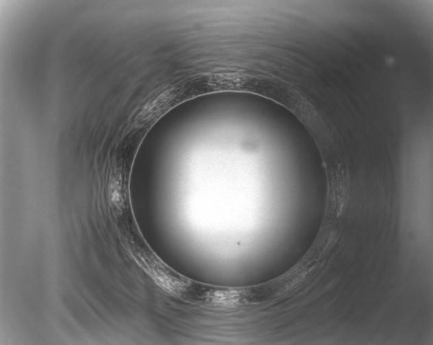X0000086040134200703301049