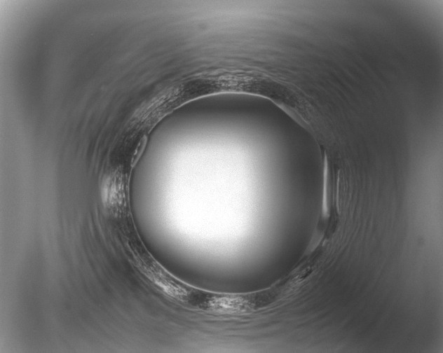 X0000086040137200703301049