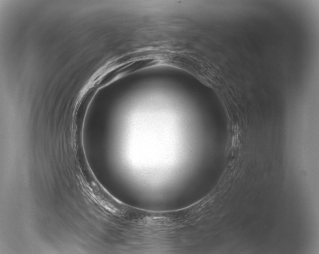 X0000086040150200703301048