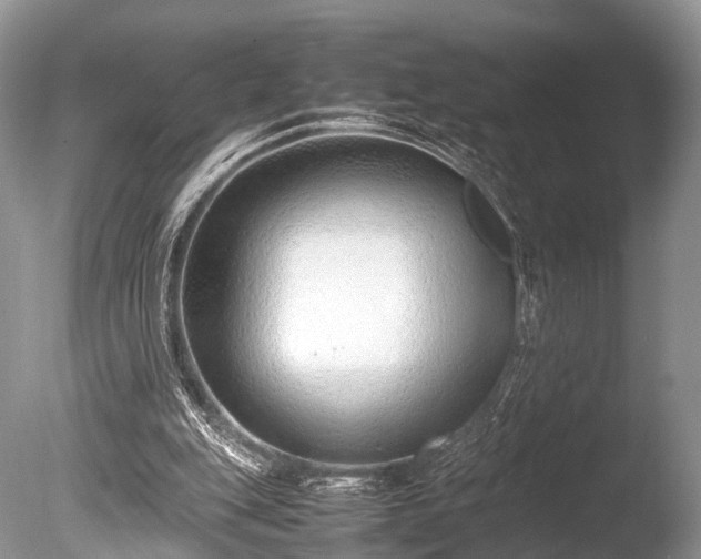 X0000086040151200703301048