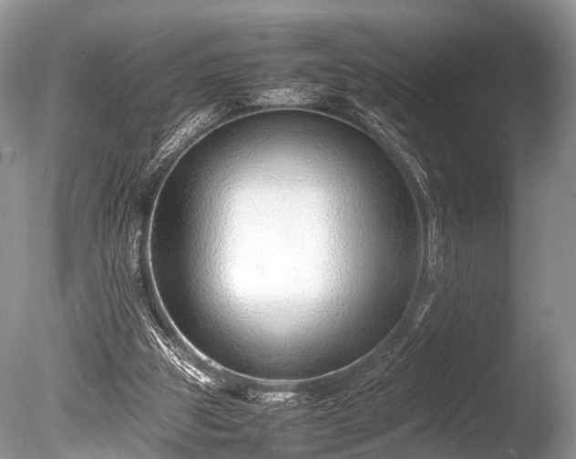 X0000086040153200703301048