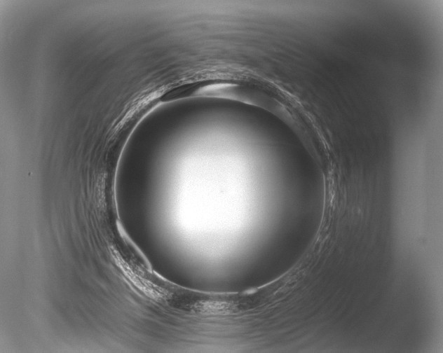 X0000086040154200703301048