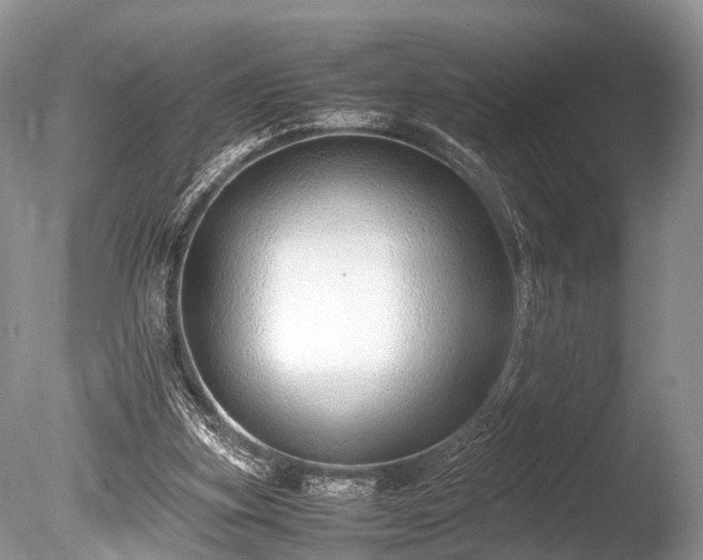 X0000086040155200703301048