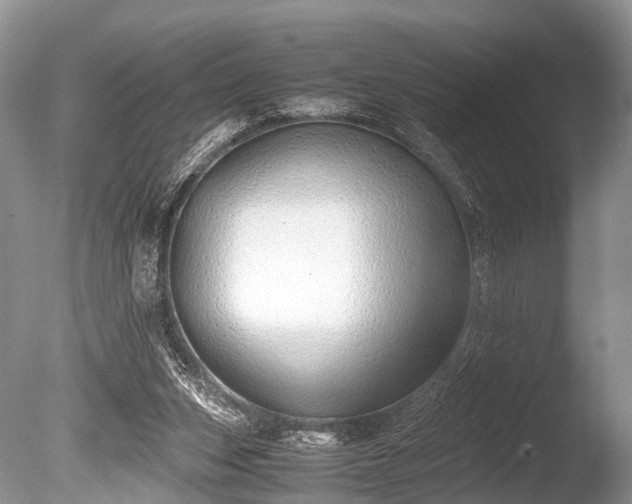 X0000086040159200703301049