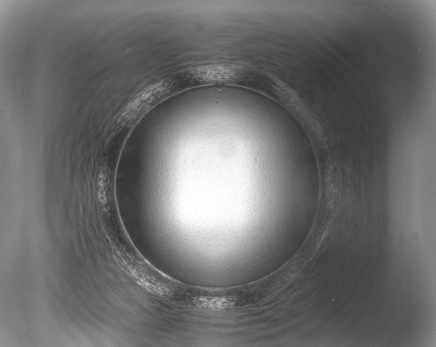 X0000086040161200703301049