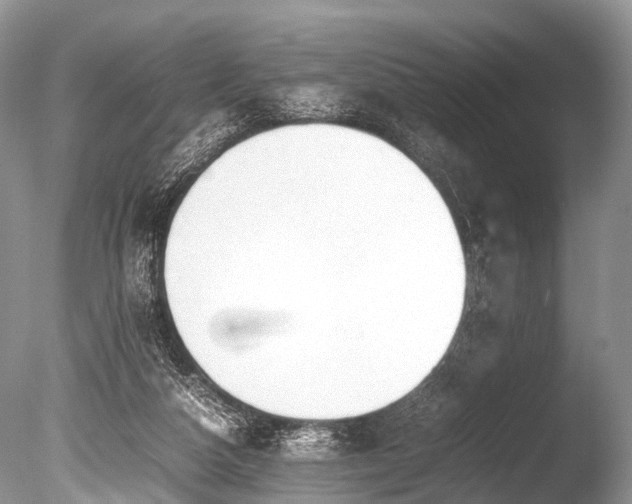 X0000086040162200703301049