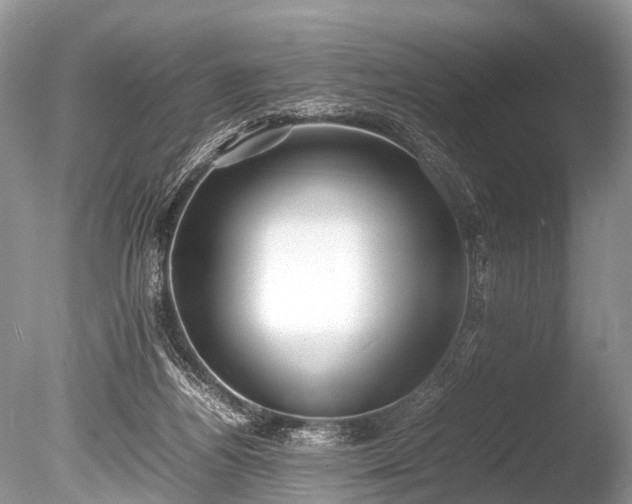 X0000086040164200703301049