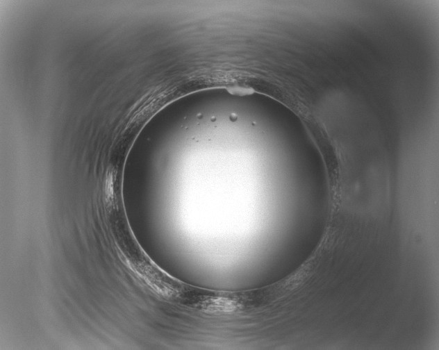 X0000086040166200703301049