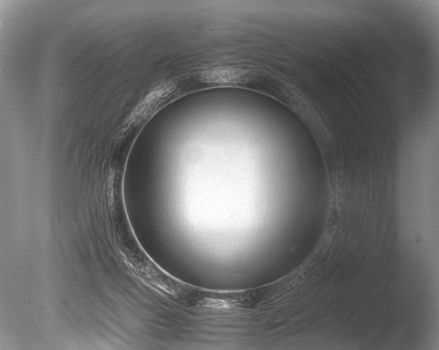 X0000086040167200703301049