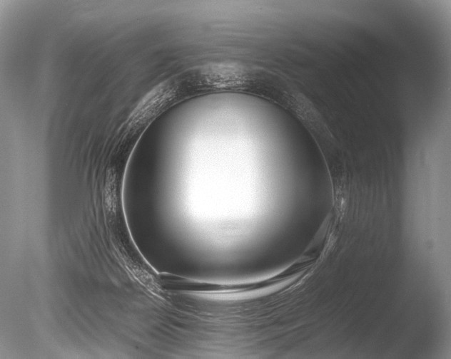 X0000086040170200703301049