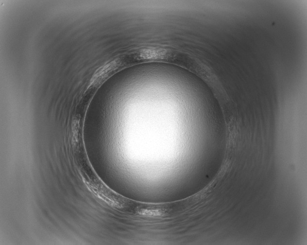 X0000086040171200703301049