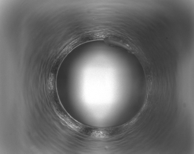 X0000086040174200703301049