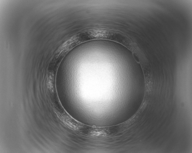 X0000086040175200703301049