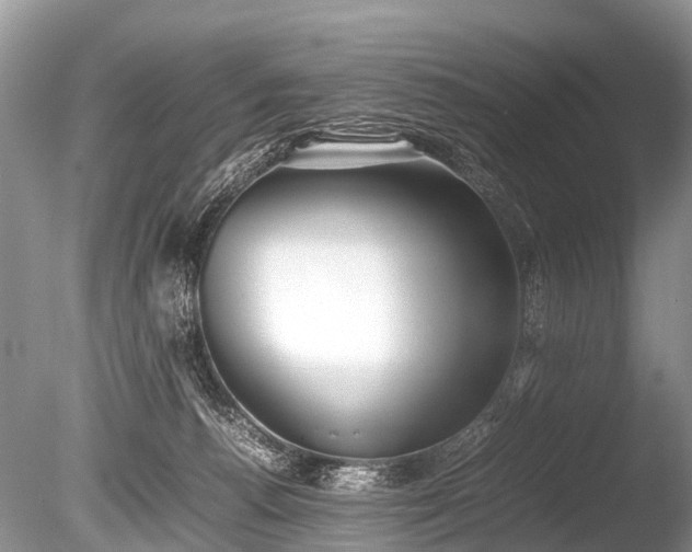 X0000086040176200703301049