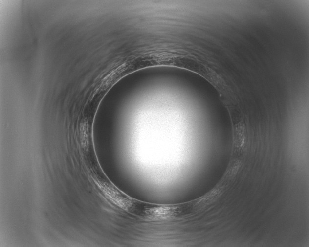 X0000086040184200703301049
