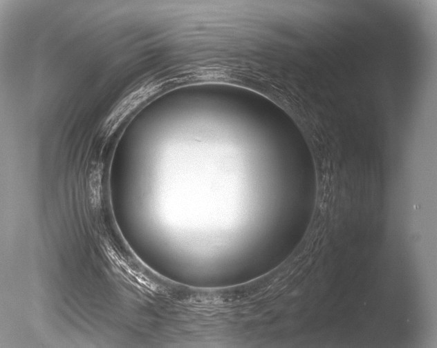 X0000086040194200703301048