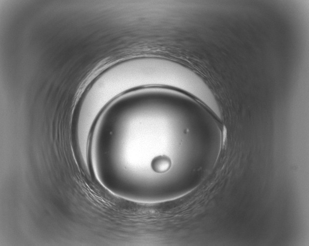 X0000086040195200703301048