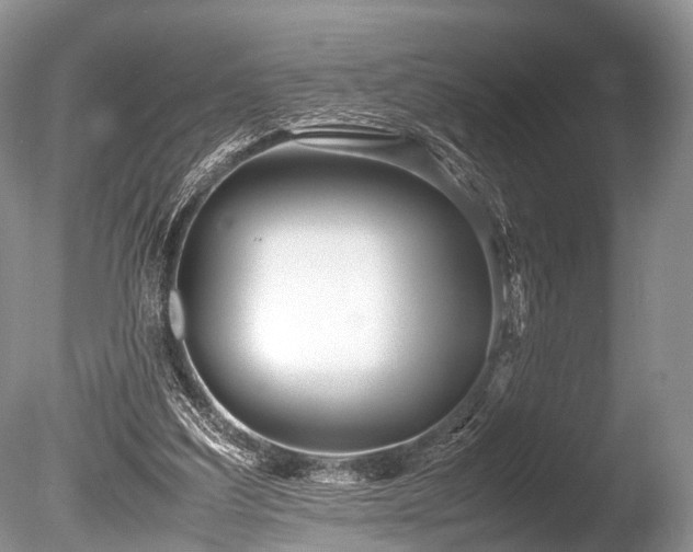 X0000086040203200703301048