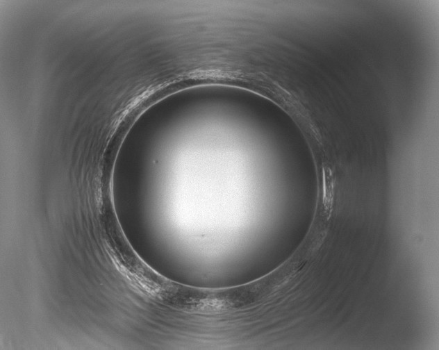 X0000086040204200703301048
