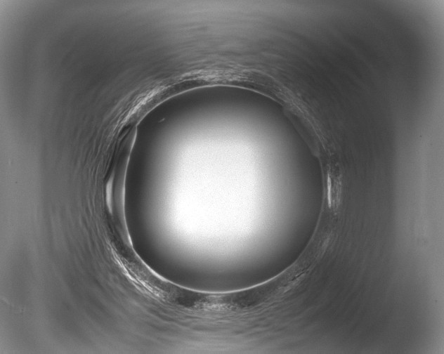X0000086040205200703301048