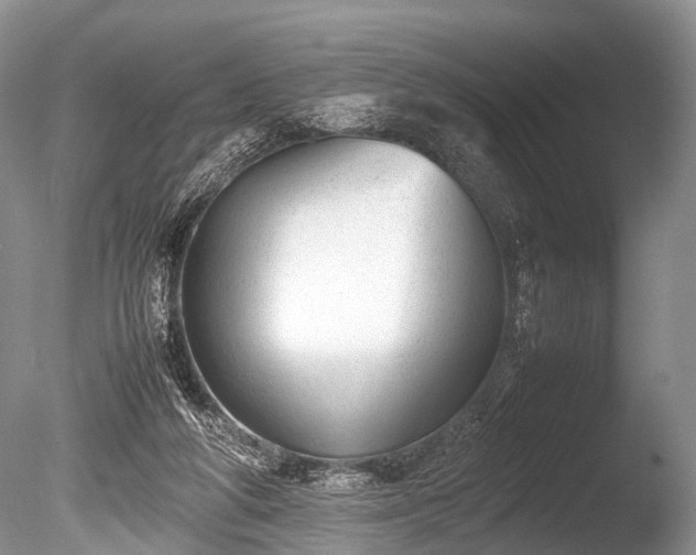 X0000086040210200703301048