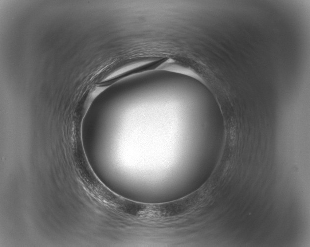 X0000086040211200703301048