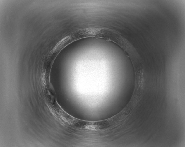 X0000086040216200703301048