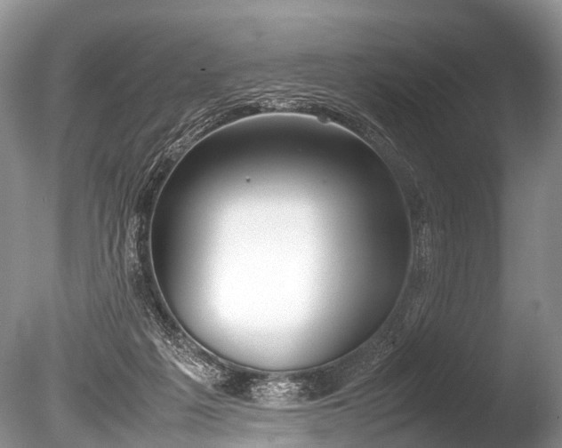 X0000086040217200703301048