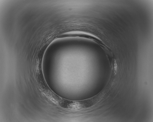 X0000086040219200703301048