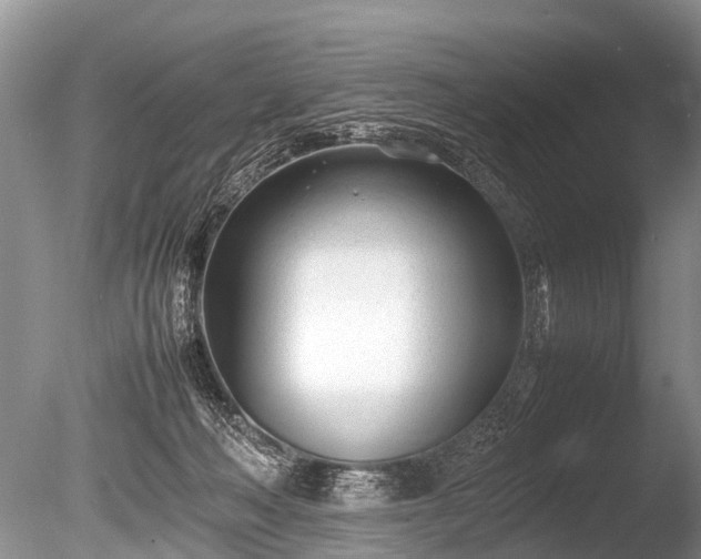 X0000086040222200703301048