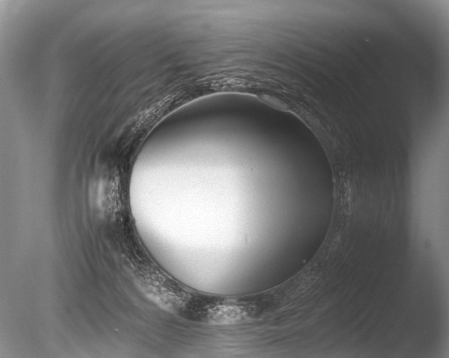 X0000086040224200703301048