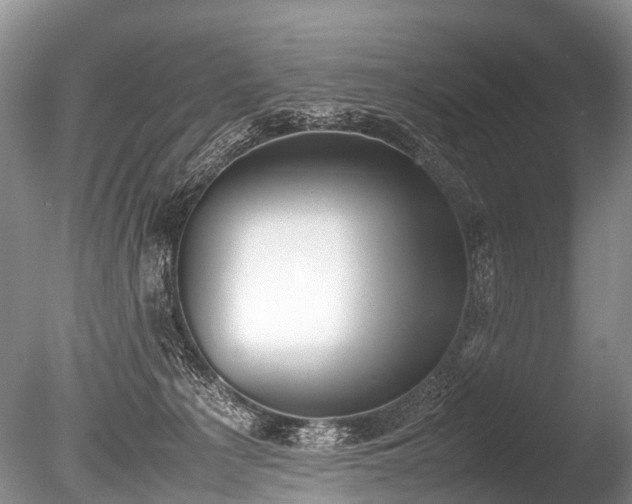 X0000086040225200703301048
