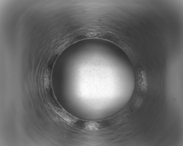 X0000086040226200703301048