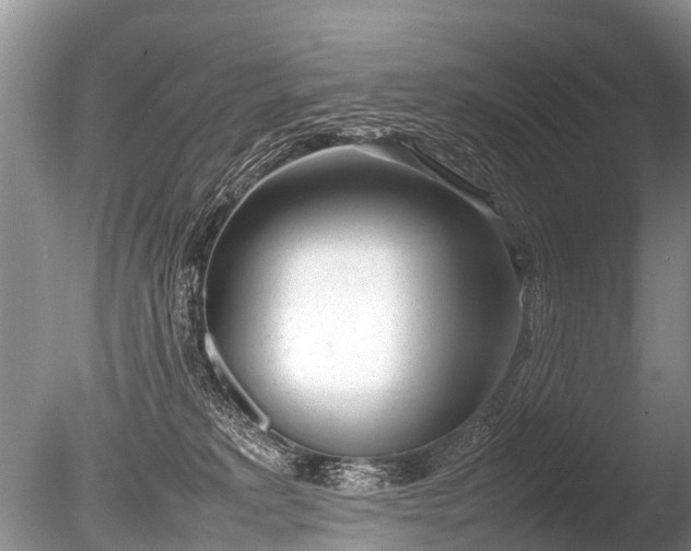 X0000086040229200703301048
